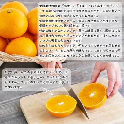 見た目は悪いが味は逸品　無茶々園の愛媛果試28号　3kg