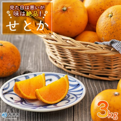 見た目は悪いが味は逸品　無茶々園のせとか　3kg