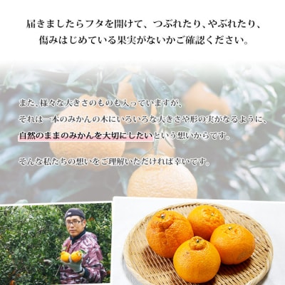<無茶々園の不知火(デコポン)　3kg>　柑橘　フルーツ　果物　愛媛　期間限定