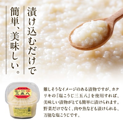 塩こうじ ネリ 三五八 450g × 12個 計5.4kg さごはち 発酵調味料 漬け物 着け床