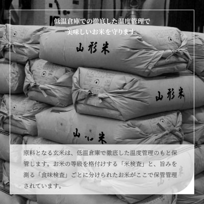 【8月下旬発送】米 10kg 5kg×2 つや姫 令和7年産 山形県産 無洗米