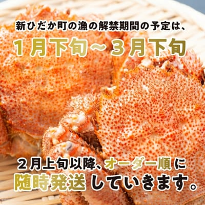 <2027年2月上旬より発送開始> 北海道産浜ゆで毛ガニ 2尾 計600g以上 <先行受付>