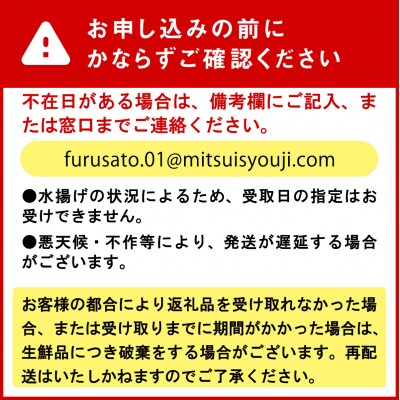 <2027年2月上旬より発送開始> 北海道産浜ゆで毛ガニ 2尾 計600g以上 <先行受付>