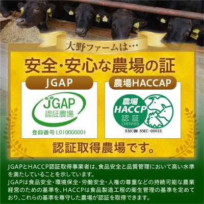 北海道十勝芽室町 牛肉100%使用!COWCOWハンバーグ 160g×7個 me007-004c