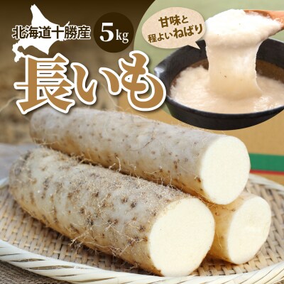 北海道十勝芽室町 ファーム・ミリオンの長芋【土付き】　5kg me016-012c