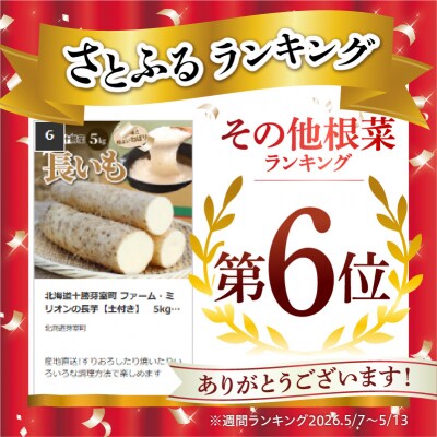 北海道十勝芽室町 ファーム・ミリオンの長芋【土付き】　5kg me016-012c