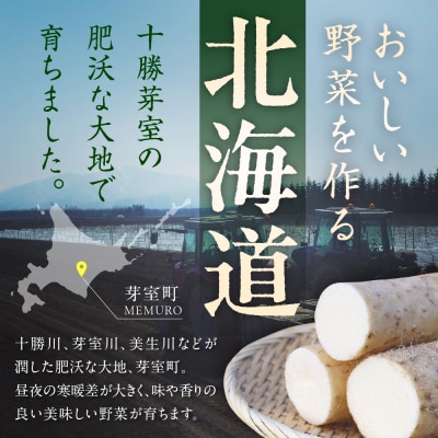 北海道十勝芽室町 ファーム・ミリオンの長芋【土付き】　5kg me016-012c