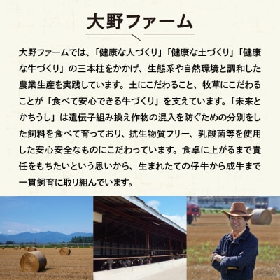 北海道芽室町 カウ・カウビーフシチュー 3個セット 未来とかち牛100%使用 me007-007c