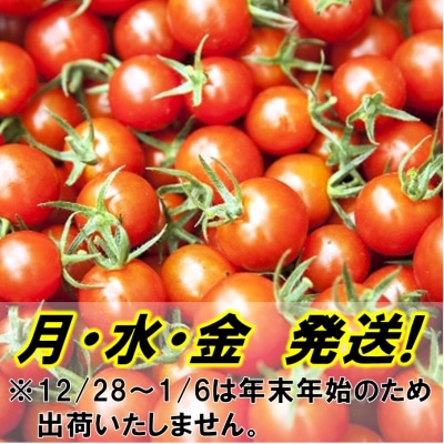 国東産ミニトマト1.2kg※嬉しい小分けタイプ_1053R