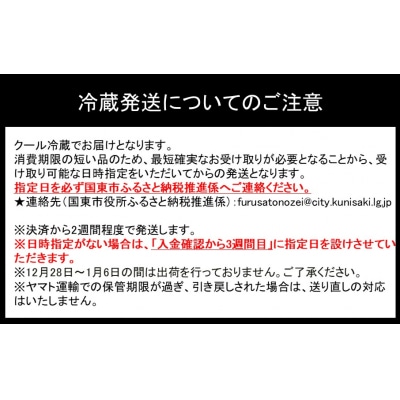 国東産ミニトマト1.2kg※嬉しい小分けタイプ_1053R