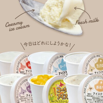北海道十勝芽室町 安定剤不使用 カップアイスクリーム 6種14個入 Aセット me008-003c