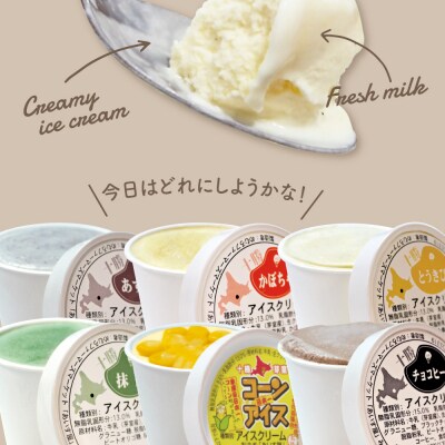北海道十勝芽室町 安定剤不使用 カップアイスクリーム6種14個入 Bセット me008-004c