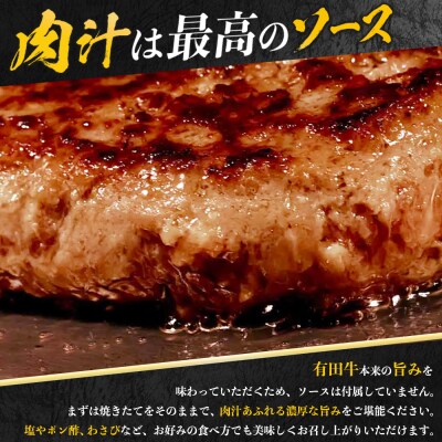 【TVで紹介!】宮崎県産黒毛和牛 ハンバーグ 150g×8個
