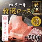 【ギフト用】四万十牛特選ローススライス(すき焼き・しゃぶしゃぶ用)約500g 26-974G