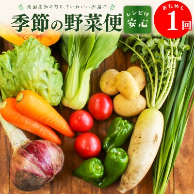 高知から直送!旬の季節のお野菜セット(7~9品)