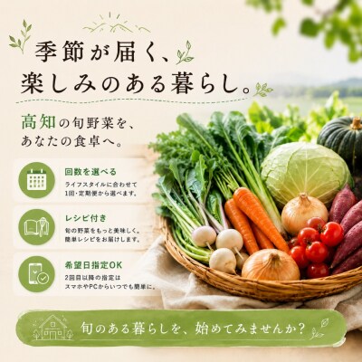 高知から直送!旬の季節のお野菜セット(7~9品)