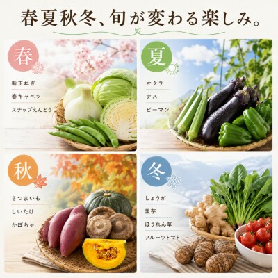 高知から直送!旬の季節のお野菜セット(7~9品)