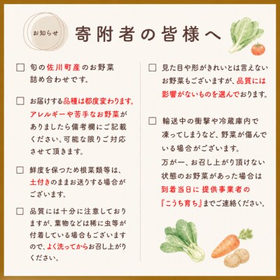 【年6回】高知から直送!旬の季節のお野菜定期便(7~9品)
