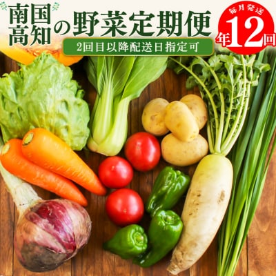 【年12回】高知から直送!旬の季節のお野菜セット(7~9品)2回目以降着日指定可能 産地直送