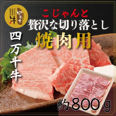 四万十牛こじゃんと贅沢な切り落とし(焼肉用800g) 26-019