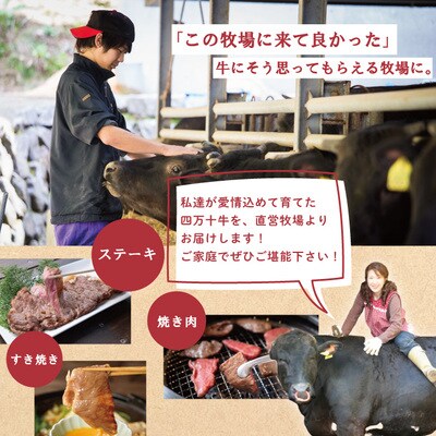 四万十牛こじゃんと贅沢な切り落とし(焼肉用800g) 26-019
