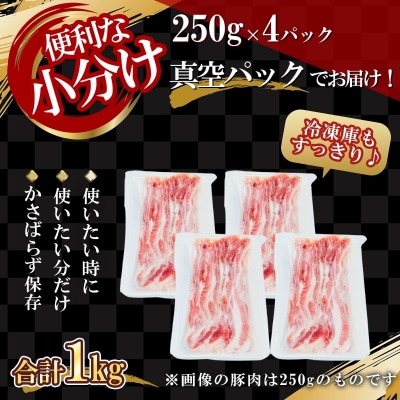 【農場直送】真空パック　北海道産　北島ワインポーク　焼肉用バラ 1kg【小分け】_Y067-0118