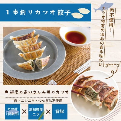 手づくり一本釣りカツオ餃子(8ケ入×8パック)たれ付き　にんにく不使用 26-1023