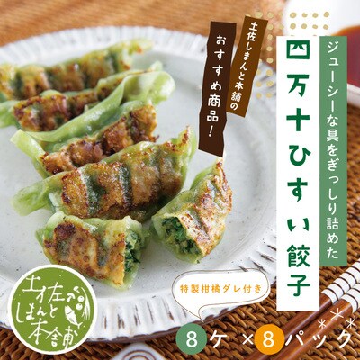 手づくり四万十ひすい餃子(8ケ入×8パック)・たれ付き　にんにく不使用 26-1025