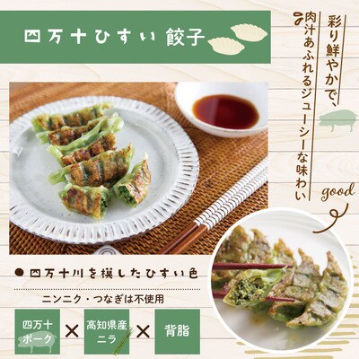 手づくり四万十ひすい餃子(8ケ入×8パック)・たれ付き　にんにく不使用 26-1025