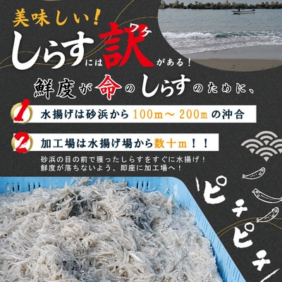 ふんわりしらすちりめん1kg 26-289