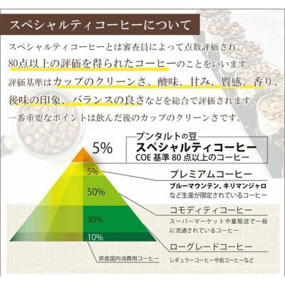 スペシャルティコーヒー ギフトセット グランデ豆のまま 酸味系お任せ|19_pun-060601ds