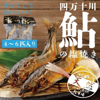 レンジでチンするだけ!四万十川の天然鮎塩焼き4～6匹 26-839