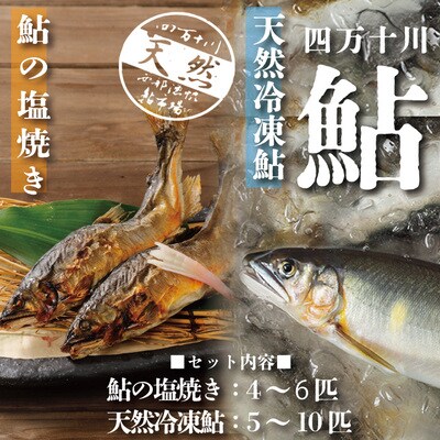 四万十川の恵みをご家庭で!四万十川天然鮎セット(塩焼き4～6匹+天然冷凍鮎5～10匹) 26-840