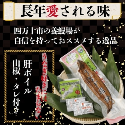 四万十川優化イオンうなぎ　蒲焼2尾入り(ボイル肝、たれ付き) 26-006
