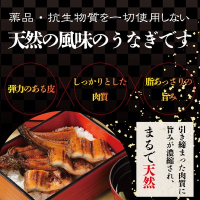 四万十川優化イオンうなぎ　蒲焼2尾入り(ボイル肝、たれ付き) 26-006