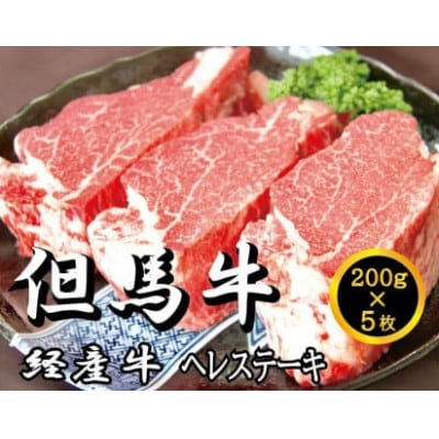 但馬牛経産牛ヘレ(200g×5枚) いちかわ精肉店 045AA30N