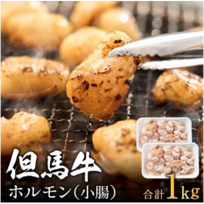 但馬牛経産牛「ホルモン(小腸)」500g×2パック  012AA04N