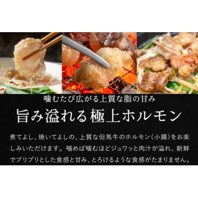 但馬牛経産牛「ホルモン(小腸)」500g×2パック  012AA04N