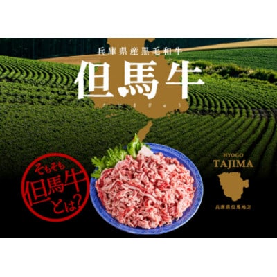 但馬牛経産牛「切り落とし」1kg　いちかわ精肉店 015AA02N