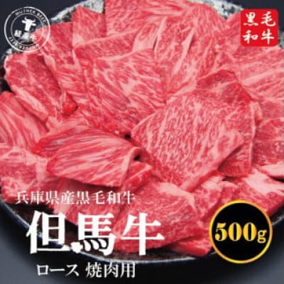 但馬牛経産牛ロース 500g(焼肉用) いちかわ精肉店 018AA04N