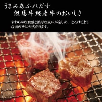 但馬牛経産牛ロース 500g(焼肉用) いちかわ精肉店 018AA04N