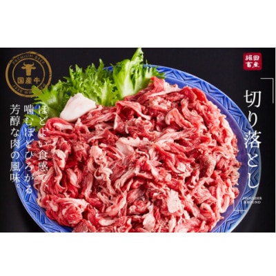 いちかわ精肉店「国産牛 切り落とし」1kg　010AA08N