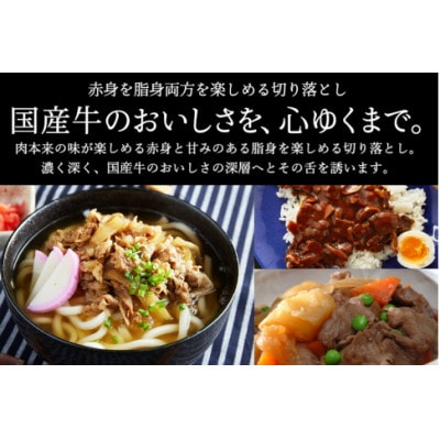 いちかわ精肉店「国産牛 切り落とし」1kg　010AA08N