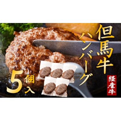 但馬牛経産牛 ハンバーグ(150g×5個)いちかわ精肉店 010AA09N