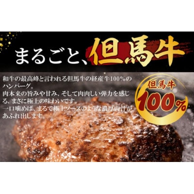 但馬牛経産牛 ハンバーグ(150g×5個)いちかわ精肉店 010AA09N