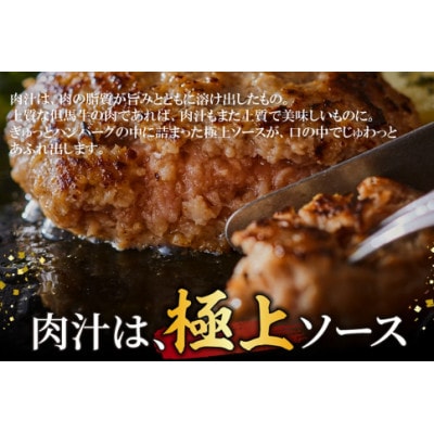 但馬牛経産牛 ハンバーグ(150g×5個)いちかわ精肉店 010AA09N