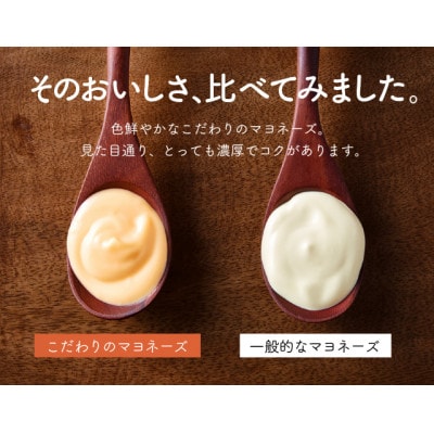 卵黄で作ったこだわりのマヨネーズ3本 005AC01N