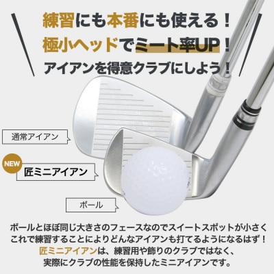 匠ミニアイアン「極小ミニヘッド」　035BF01N.