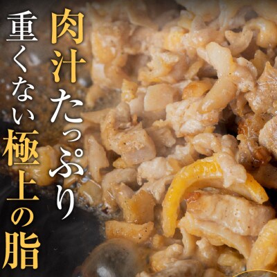 「ひね鶏」こま切れ(200g×2パック)003AB02N.