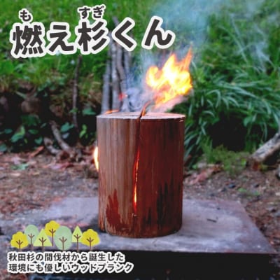 秋田杉のスウェーデントーチ「燃え杉くん(もえすぎくん)」[No.5335-0253]